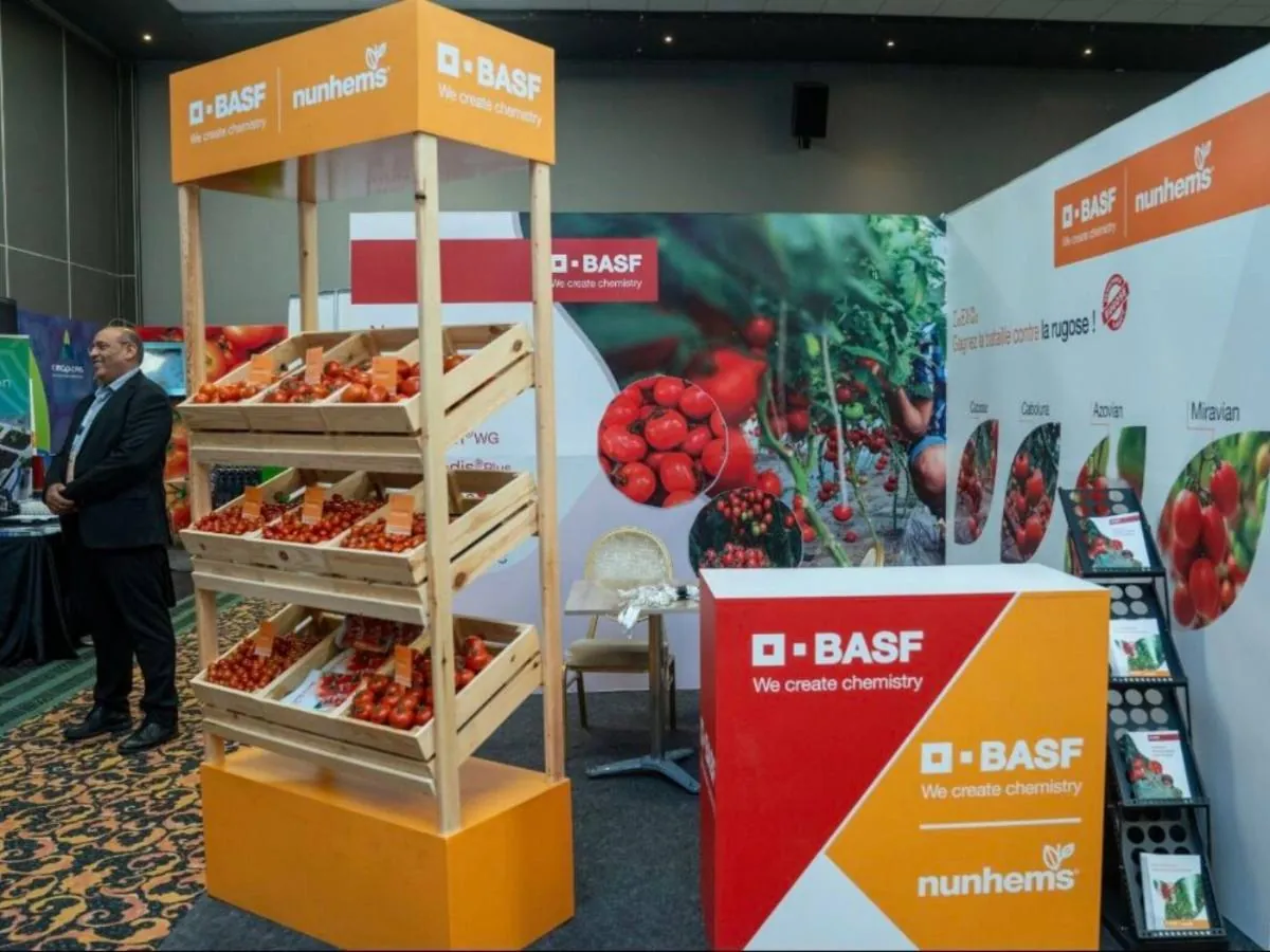 Merchandising & POS