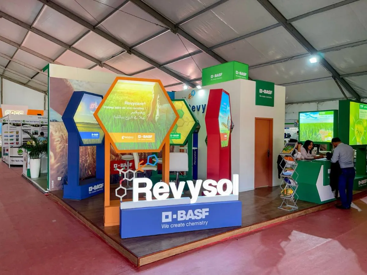 A 360° agency built around making things real