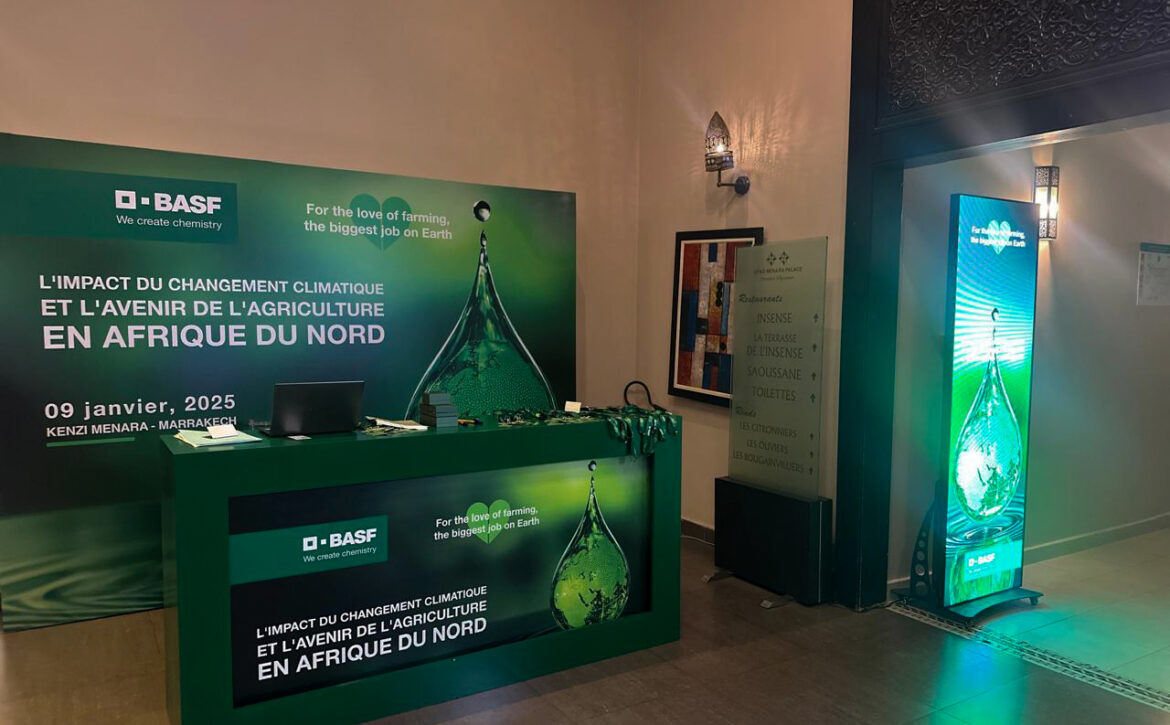 WhatsApp-Image-2025-01-13-at-5.00.57-PM copy