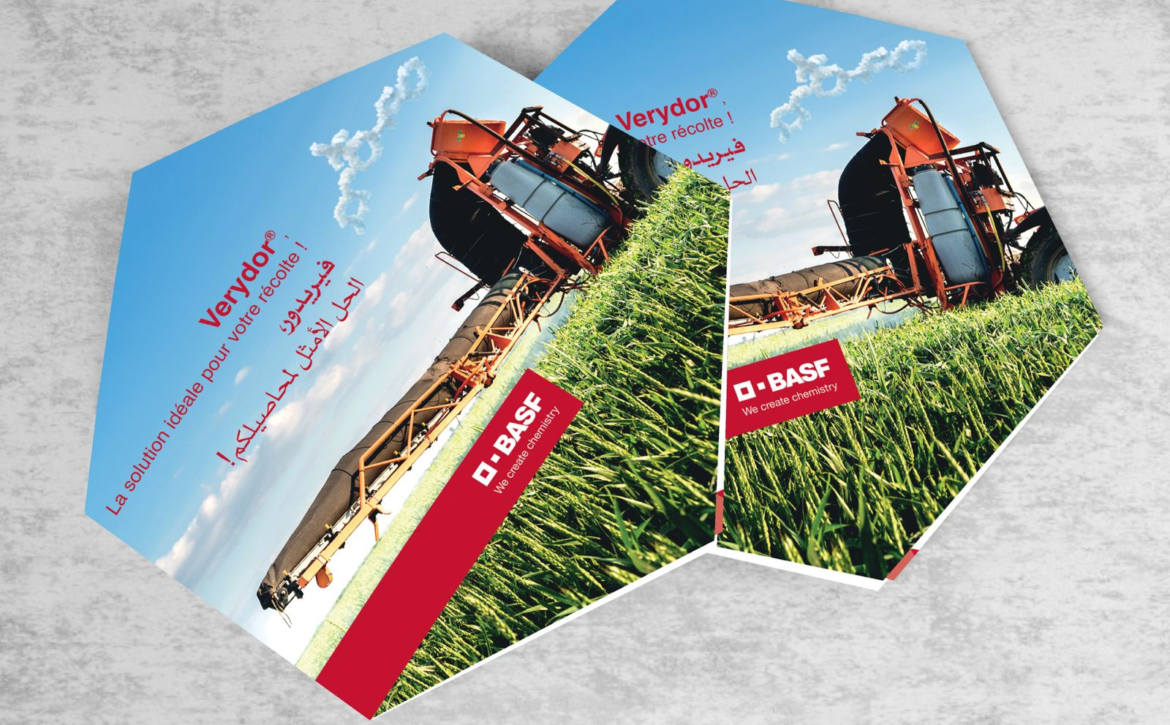 Untitled design – 2026-03-25T141449.485