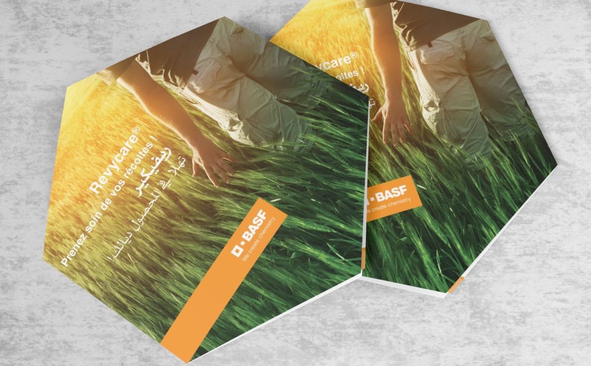 Untitled design – 2026-03-25T154701.246