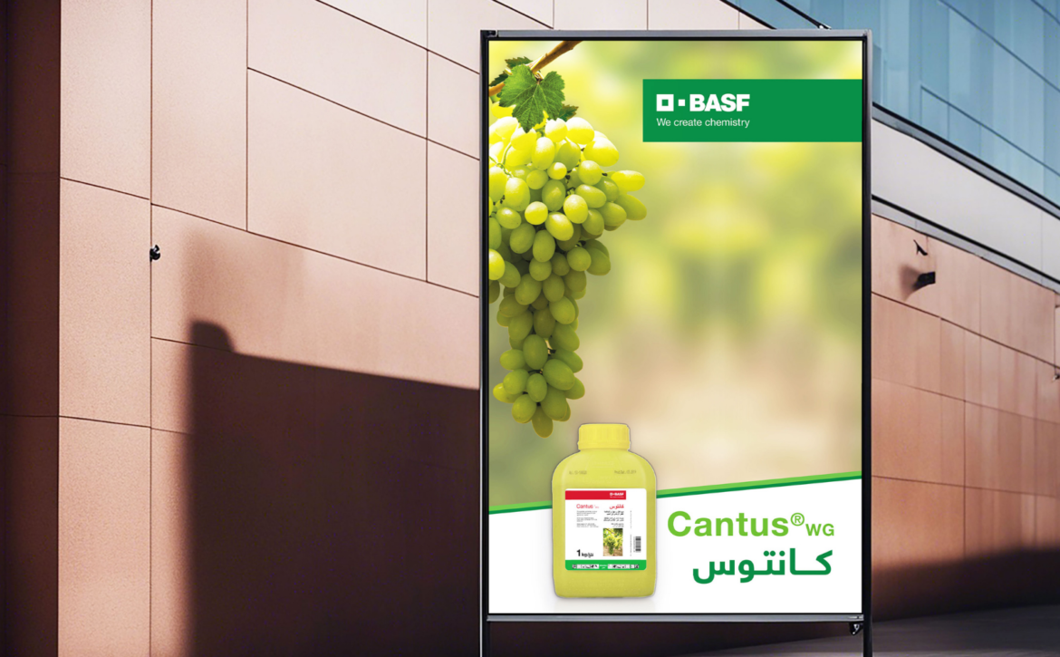 Untitled design – 2026-03-25T155641.011