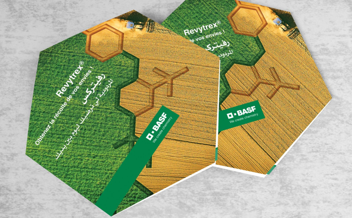 Untitled design – 2026-03-25T160017.156