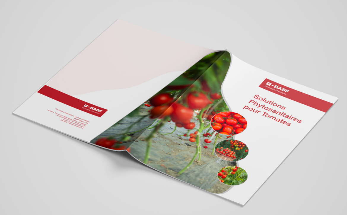 Untitled design – 2026-03-25T160635.068